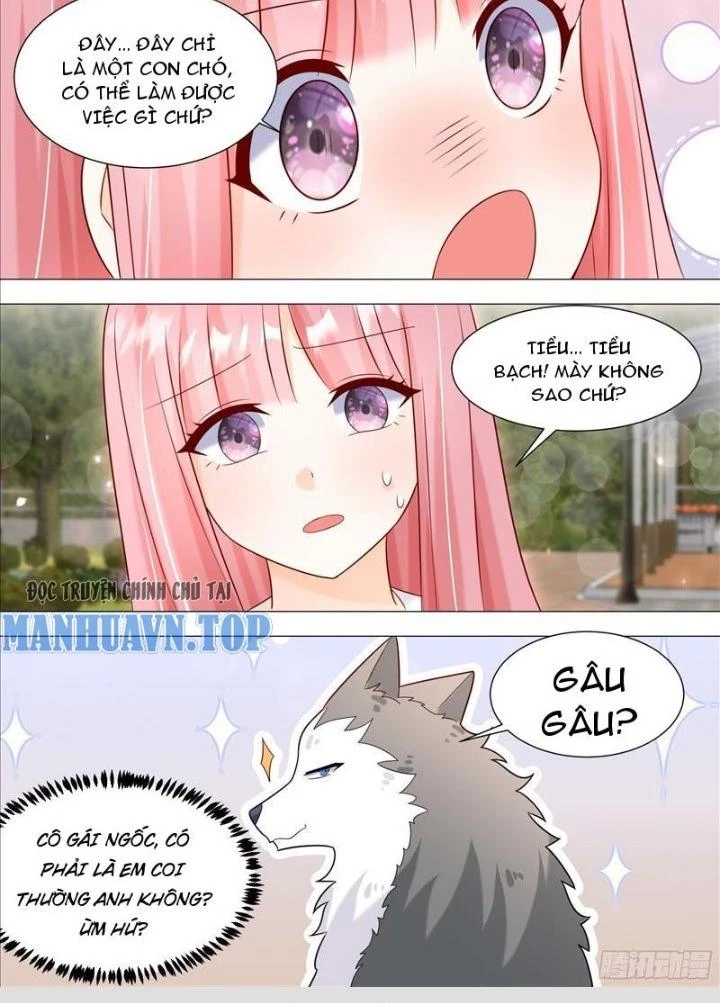 Trọng Sinh Thành Chó Của Nữ Thần Chapter 389 - Trang 4