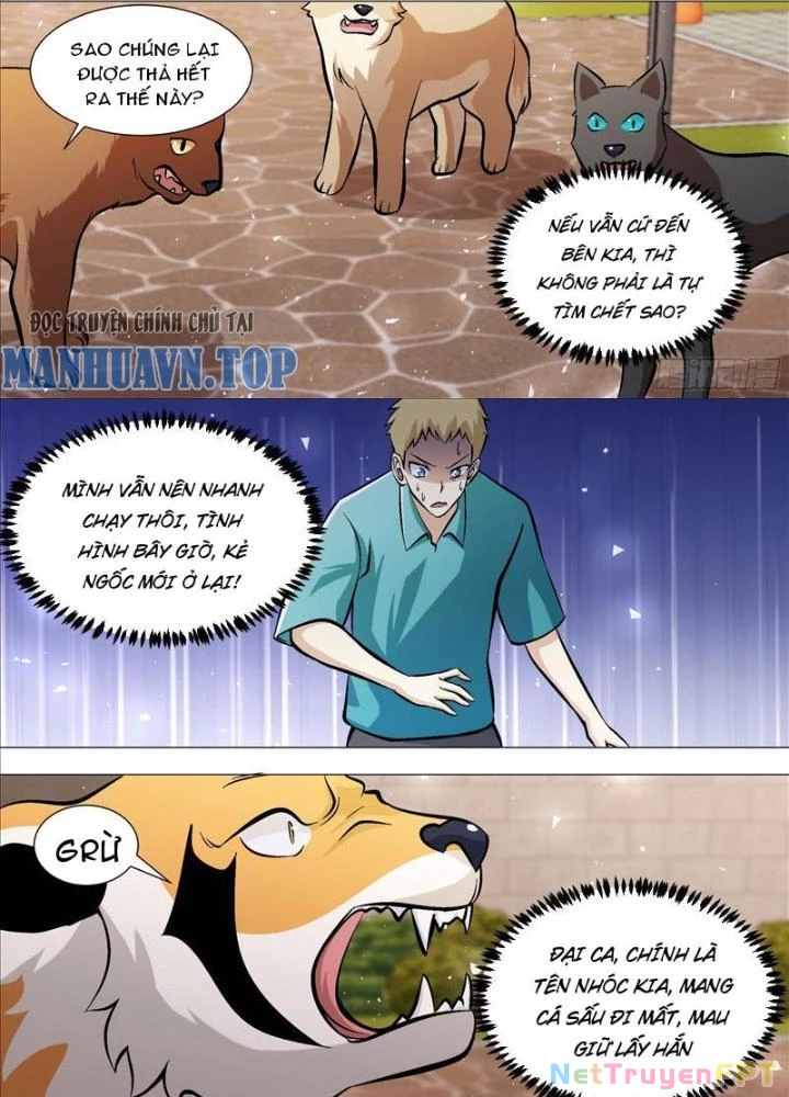 Trọng Sinh Thành Chó Của Nữ Thần Chapter 390 - Trang 4