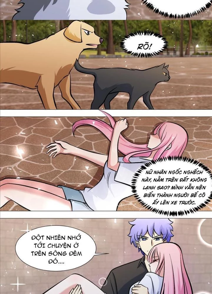 Trọng Sinh Thành Chó Của Nữ Thần Chapter 390 - Trang 4
