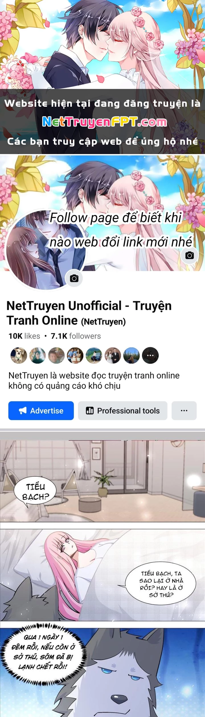 Trọng Sinh Thành Chó Của Nữ Thần Chapter 392 - Trang 4