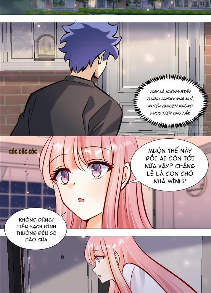 Trọng Sinh Thành Chó Của Nữ Thần Chapter 393 - Trang 4