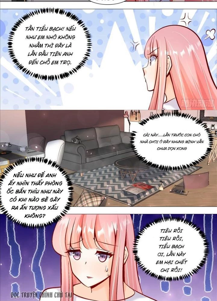 Trọng Sinh Thành Chó Của Nữ Thần Chapter 393 - Trang 4