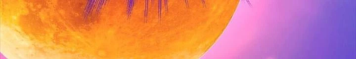 Nam Chủ Và Hậu Cung Đều Là Của Ta Chapter 77 - Trang 3