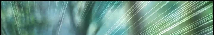 Tôi Một Tay Thống Trị Trò Chơi Chapter 41 - Trang 4