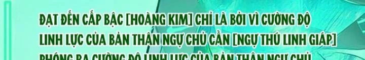 Toàn Dân Ngự Thú: Bắt Đầu Thức Tỉnh Thiên Phú Cấp Thần Thoại Chapter 74 - Trang 3
