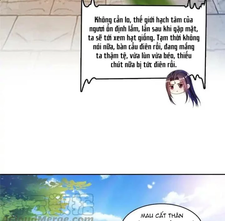 Tu Chân Nói Chuyện Phiếm Quần Chapter 492 - Trang 4