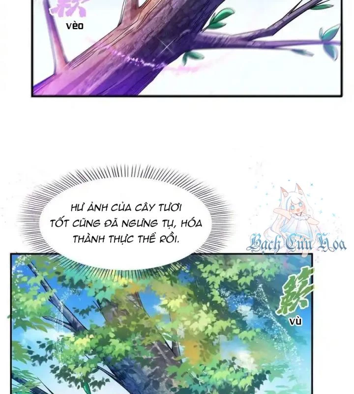 Tu Chân Nói Chuyện Phiếm Quần Chapter 495 - Trang 4