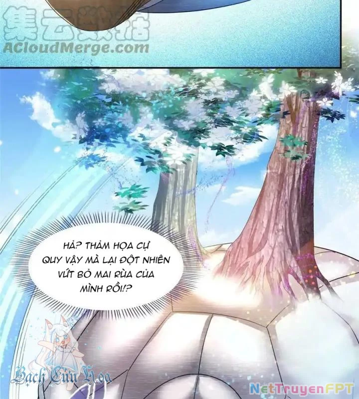 Tu Chân Nói Chuyện Phiếm Quần Chapter 495 - Trang 4