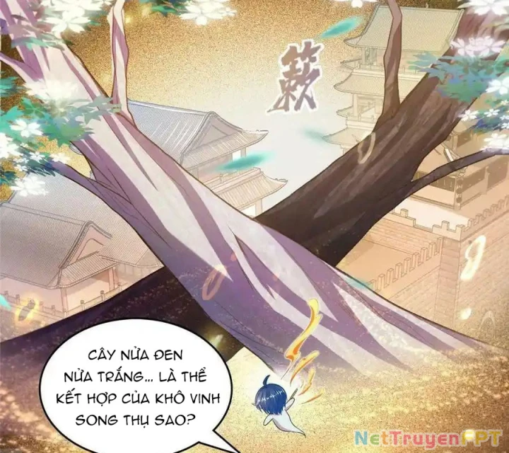 Tu Chân Nói Chuyện Phiếm Quần Chapter 508 - Trang 4