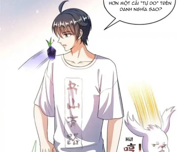 Tu Chân Nói Chuyện Phiếm Quần Chapter 544 - Trang 4