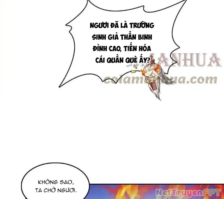 Tu Chân Nói Chuyện Phiếm Quần Chapter 558 - Trang 3