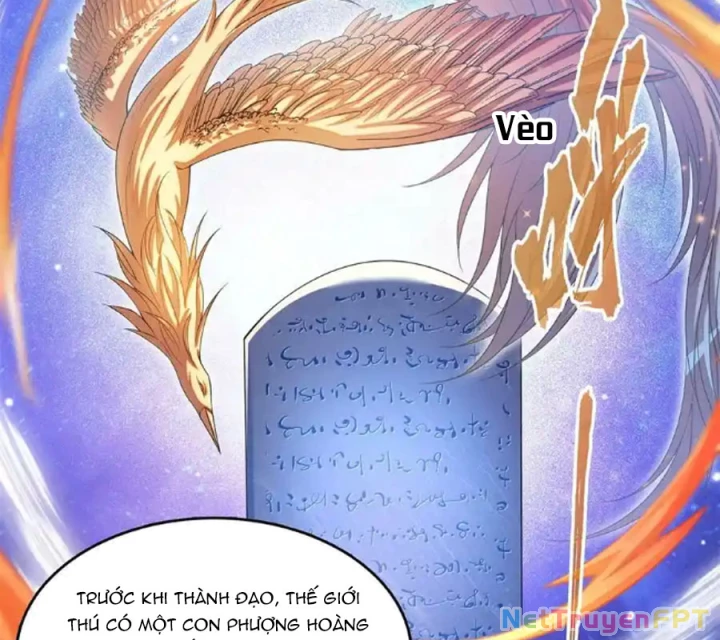 Tu Chân Nói Chuyện Phiếm Quần Chapter 588 - Trang 3