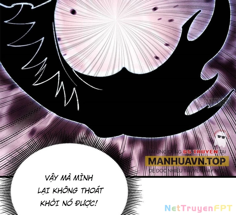 Vạn Cổ Tối Cường Tông Chapter 409 - Trang 4