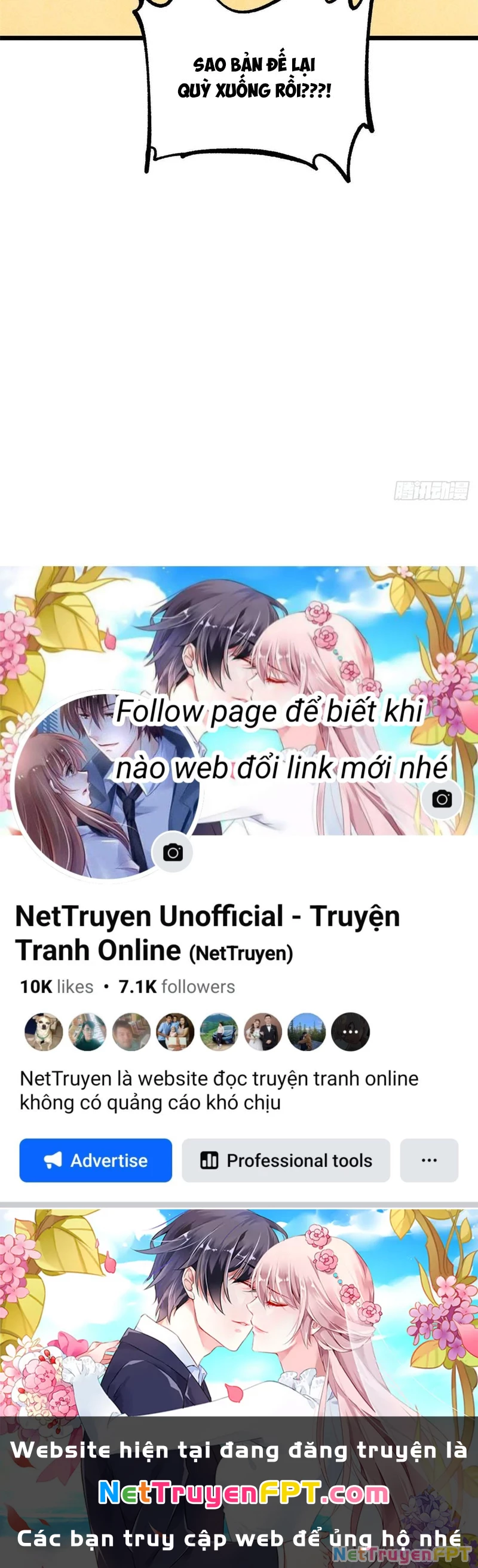 Vạn Cổ Tối Cường Tông Chapter 409 - Trang 4
