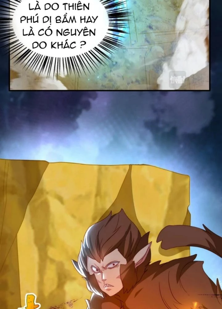 Vũ Cực Điên Phong Chapter 23 - Next Chapter 24