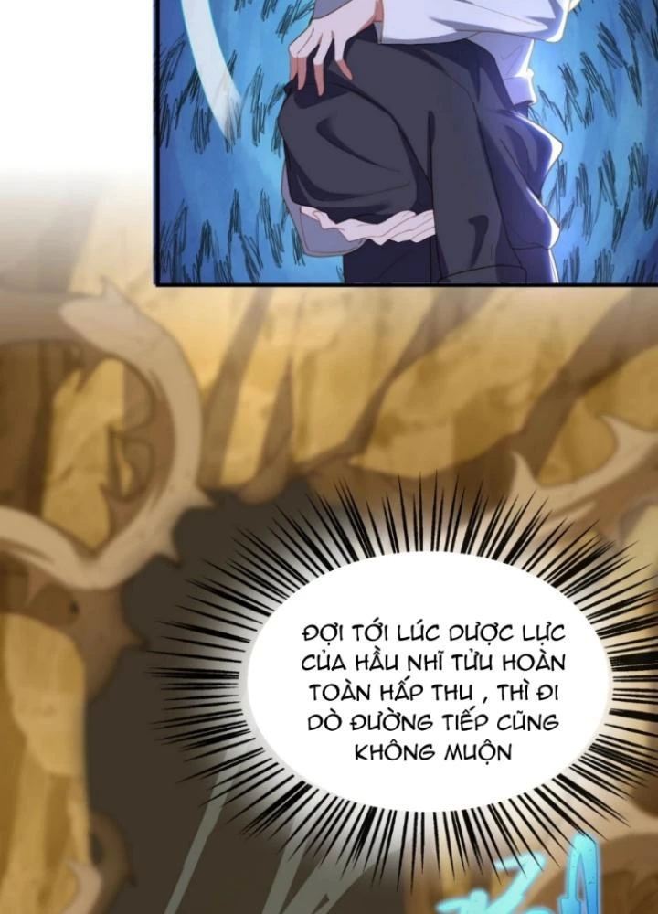 Vũ Cực Điên Phong Chapter 24 - Next Chapter 25