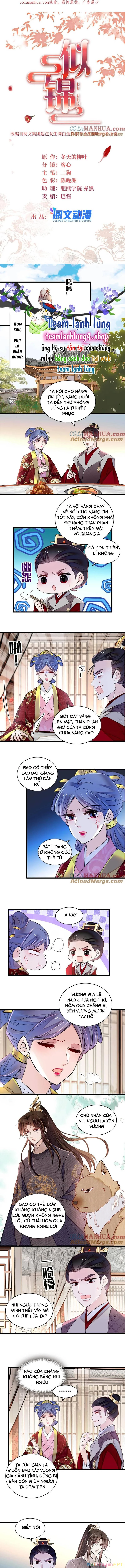 Tự Cẩm Chapter 336 - Trang 4