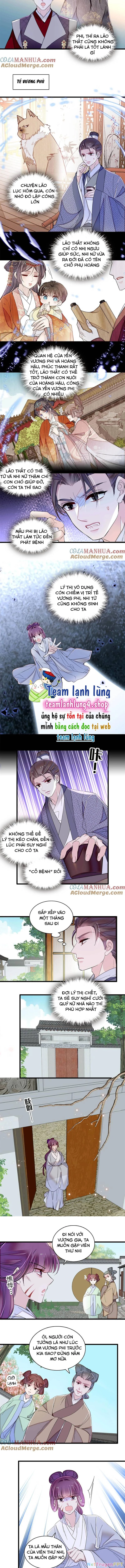 Tự Cẩm Chapter 336 - Trang 4