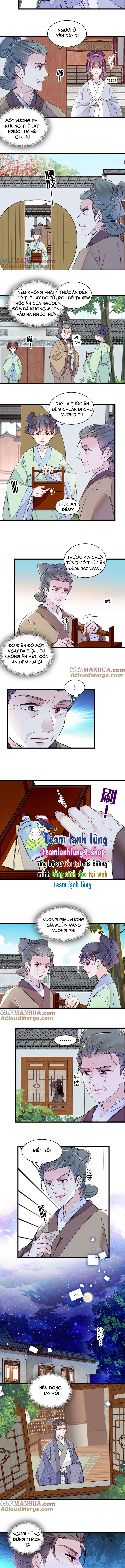 Tự Cẩm Chapter 336 - Trang 4