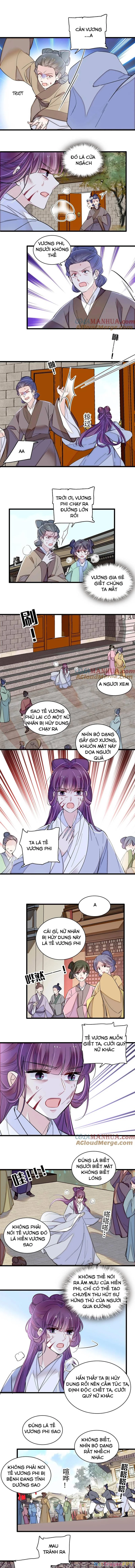 Tự Cẩm Chapter 338 - Trang 4