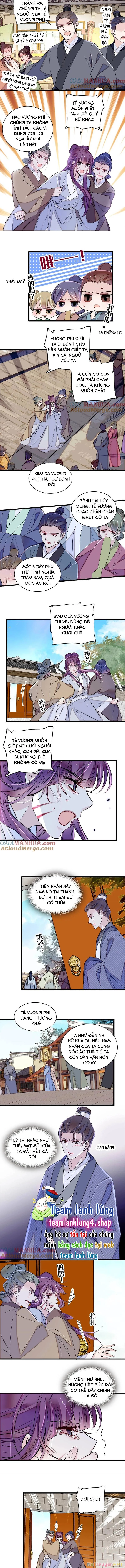 Tự Cẩm Chapter 338 - Trang 4