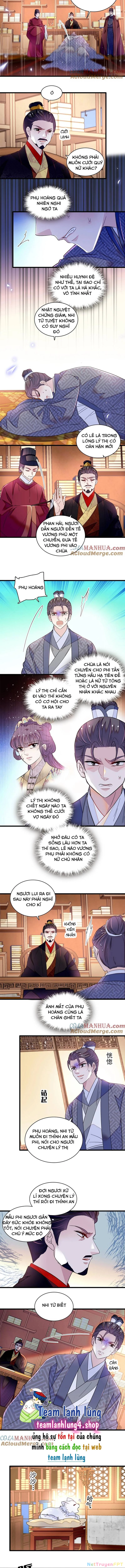 Tự Cẩm Chapter 339 - Trang 4