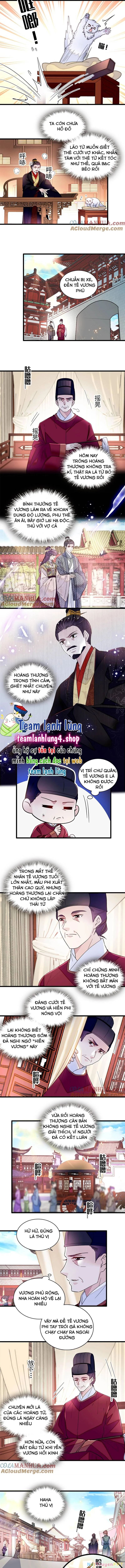 Tự Cẩm Chapter 339 - Trang 4
