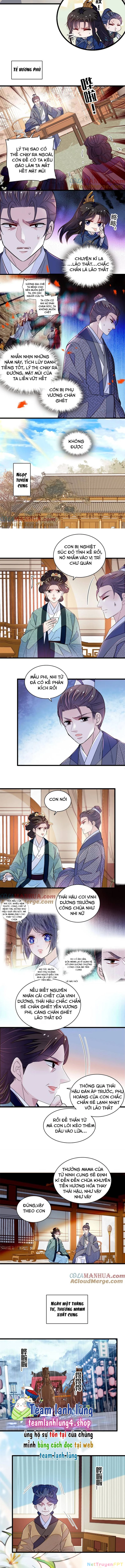 Tự Cẩm Chapter 339 - Trang 4