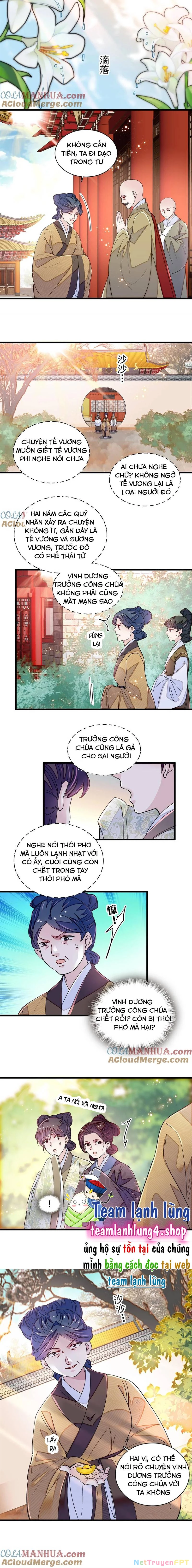 Tự Cẩm Chapter 339 - Trang 4