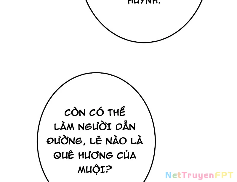 Chưởng Môn Khiêm Tốn Chút Chapter 482 - Trang 4