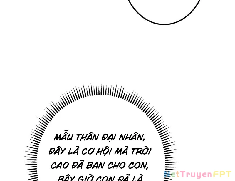 Chưởng Môn Khiêm Tốn Chút Chapter 482 - Trang 4