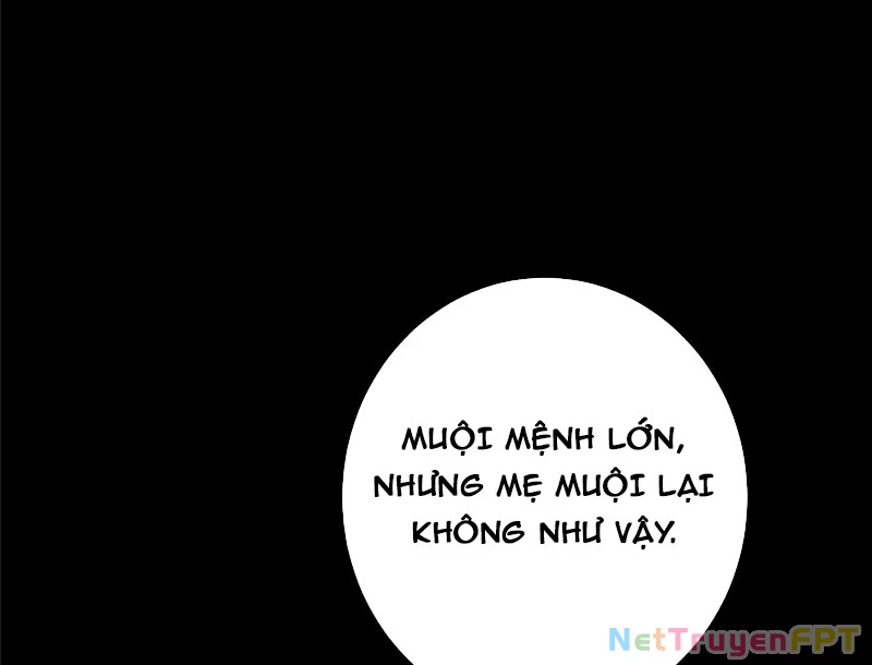Chưởng Môn Khiêm Tốn Chút Chapter 482 - Trang 4