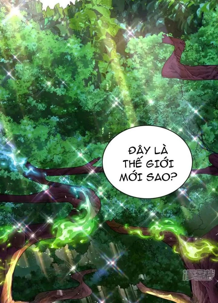 Đệ Nhất Ở Rể Chapter 322 - Trang 2