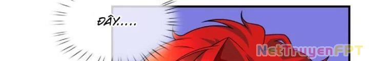 Ta Chẳng Làm Gì Cũng Vô Địch Chapter 61 - Trang 3