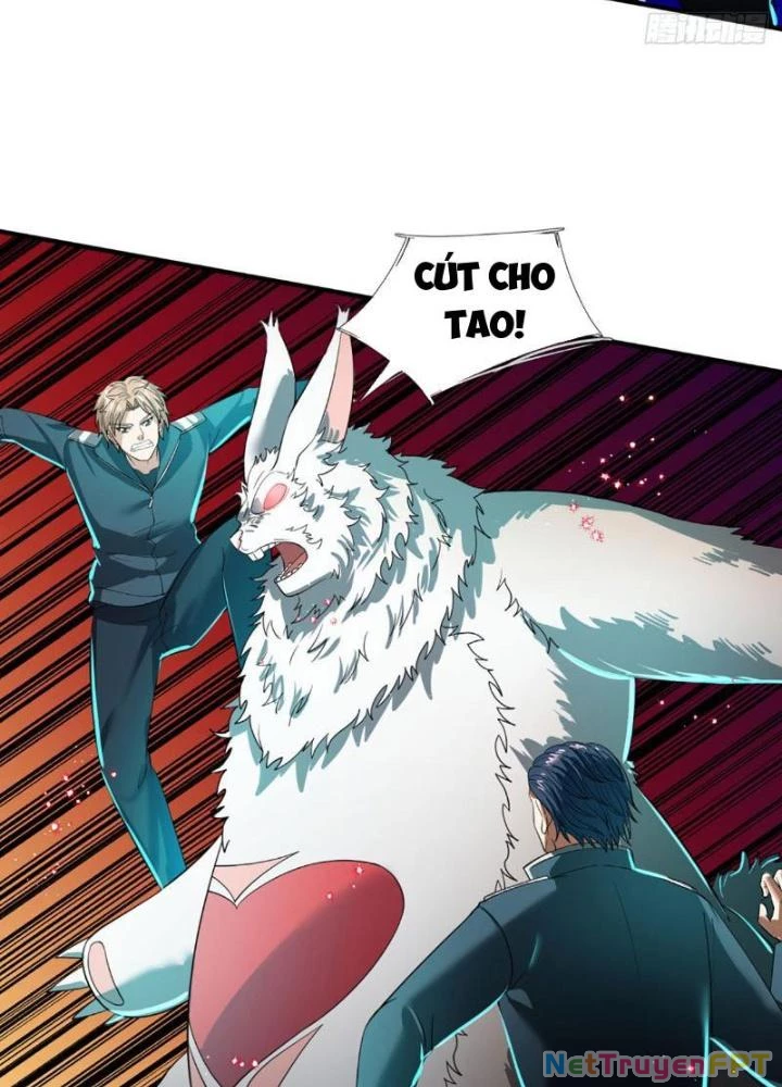Ta Chẳng Làm Gì Cũng Vô Địch Chapter 67 - Trang 3