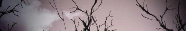 81 Câu Hỏi Chết Chóc Chapter 172 - Trang 2