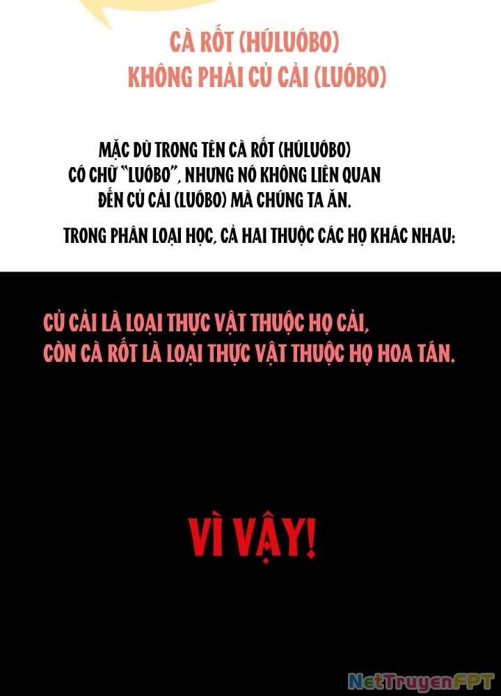 81 Câu Hỏi Chết Chóc Chapter 212 - Trang 2