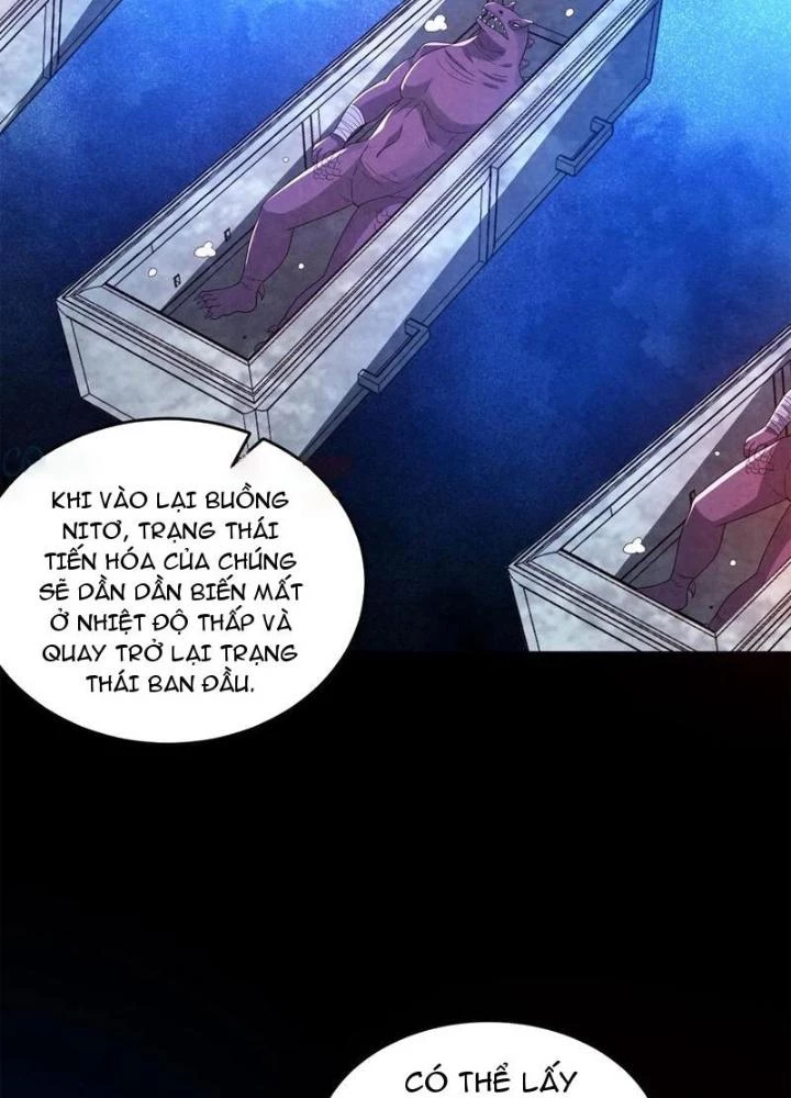 Bởi Vì Cẩn Thận Mà Quá Phận Hung Ác Chapter 152 - Trang 3