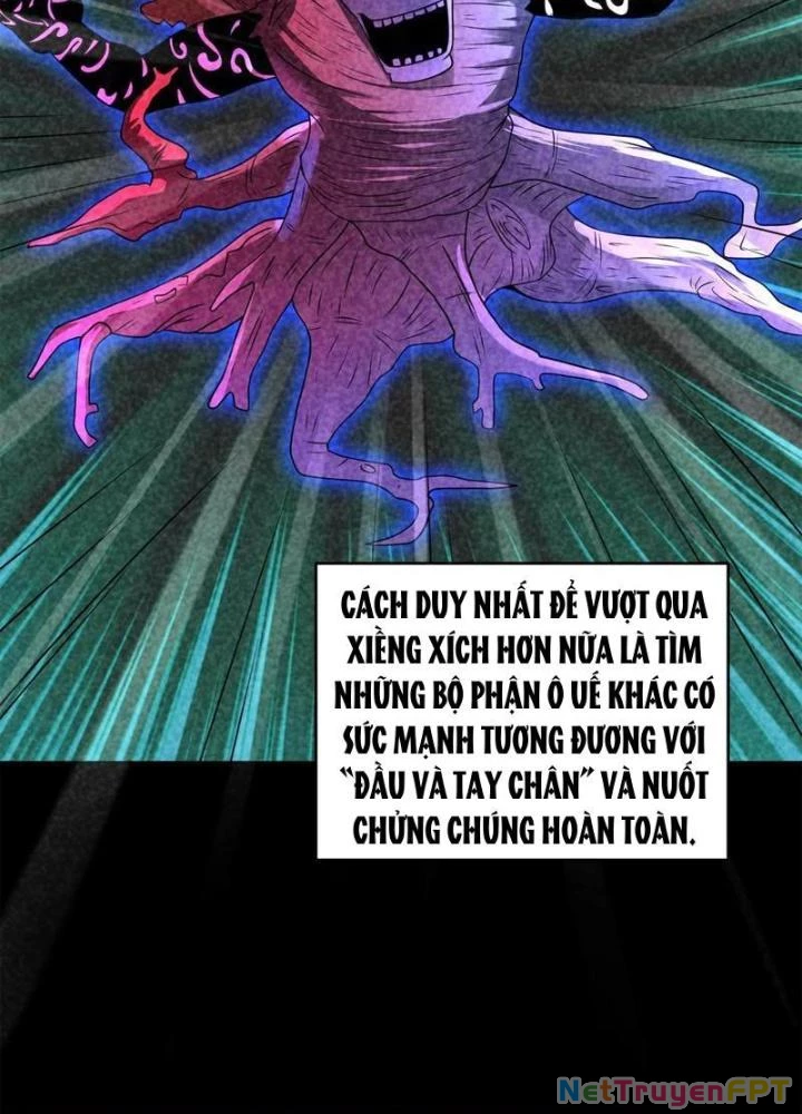 Bởi Vì Cẩn Thận Mà Quá Phận Hung Ác Chapter 202 - Trang 3