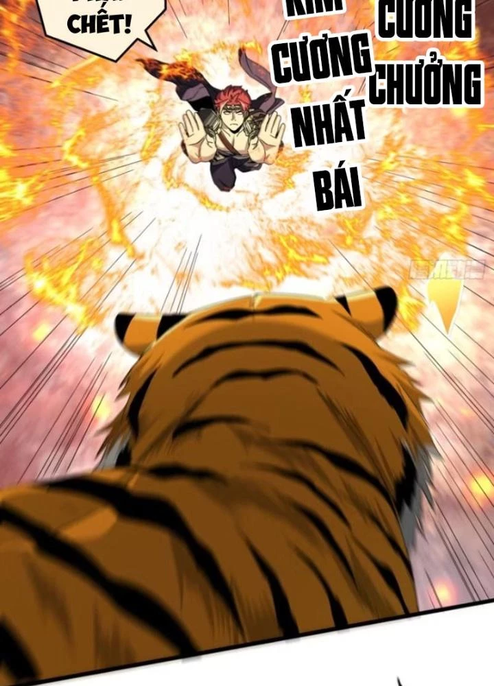 Kim Cương Bất Hoại Đại Trại Chủ Chapter 17 - Trang 3