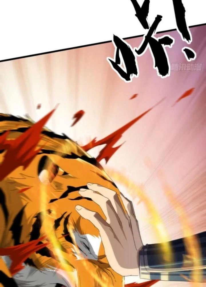 Kim Cương Bất Hoại Đại Trại Chủ Chapter 17 - Trang 3