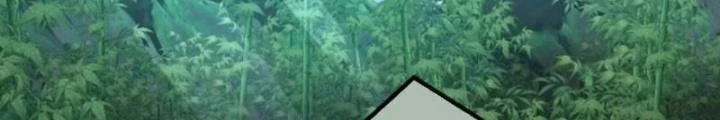 Kim Cương Bất Hoại Đại Trại Chủ Chapter 18 - Trang 3