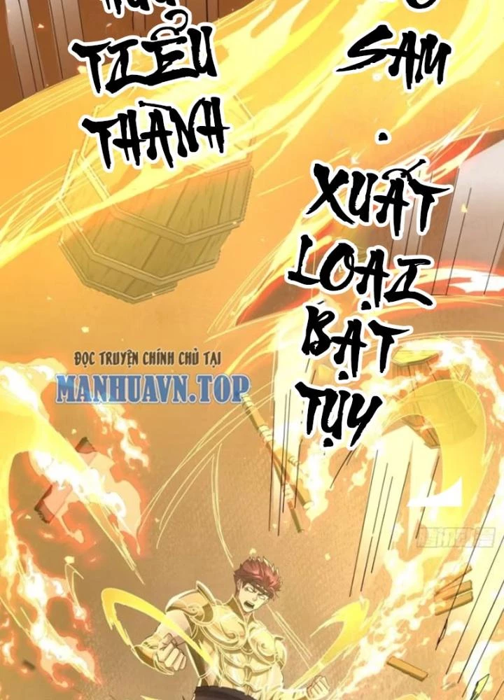 Kim Cương Bất Hoại Đại Trại Chủ Chapter 22 - Trang 3