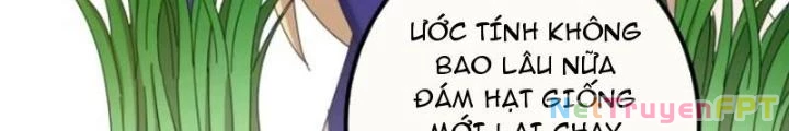 Kim Cương Bất Hoại Đại Trại Chủ Chapter 26 - Trang 3