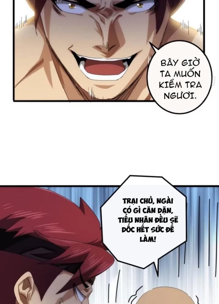 Kim Cương Bất Hoại Đại Trại Chủ Chapter 26 - Trang 3