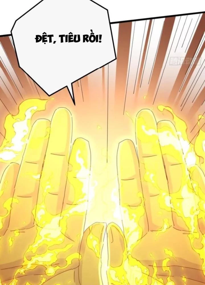 Kim Cương Bất Hoại Đại Trại Chủ Chapter 27 - Trang 3