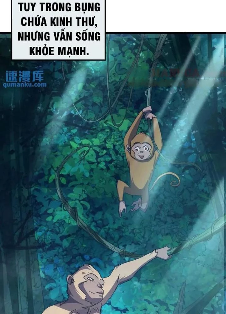 Kim Cương Bất Hoại Đại Trại Chủ Chapter 42 - Trang 3