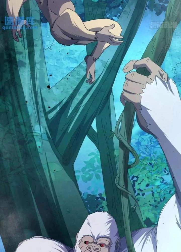 Kim Cương Bất Hoại Đại Trại Chủ Chapter 42 - Trang 3