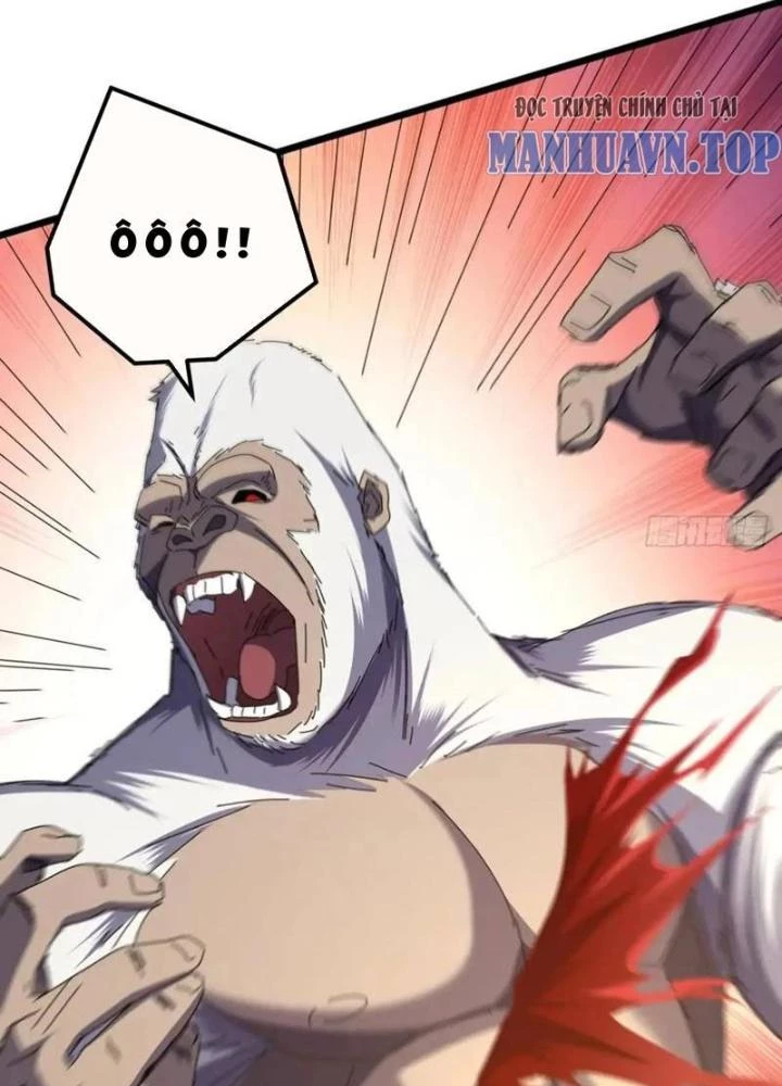 Kim Cương Bất Hoại Đại Trại Chủ Chapter 42 - Trang 3