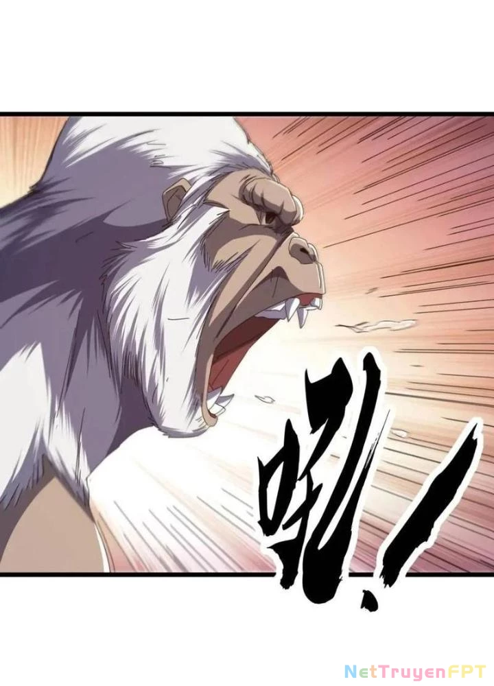 Kim Cương Bất Hoại Đại Trại Chủ Chapter 42 - Trang 3